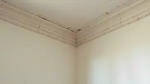 Jak zamaskować krzywy sufit