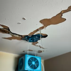 Osuszanie sufitu po zalaniu cena